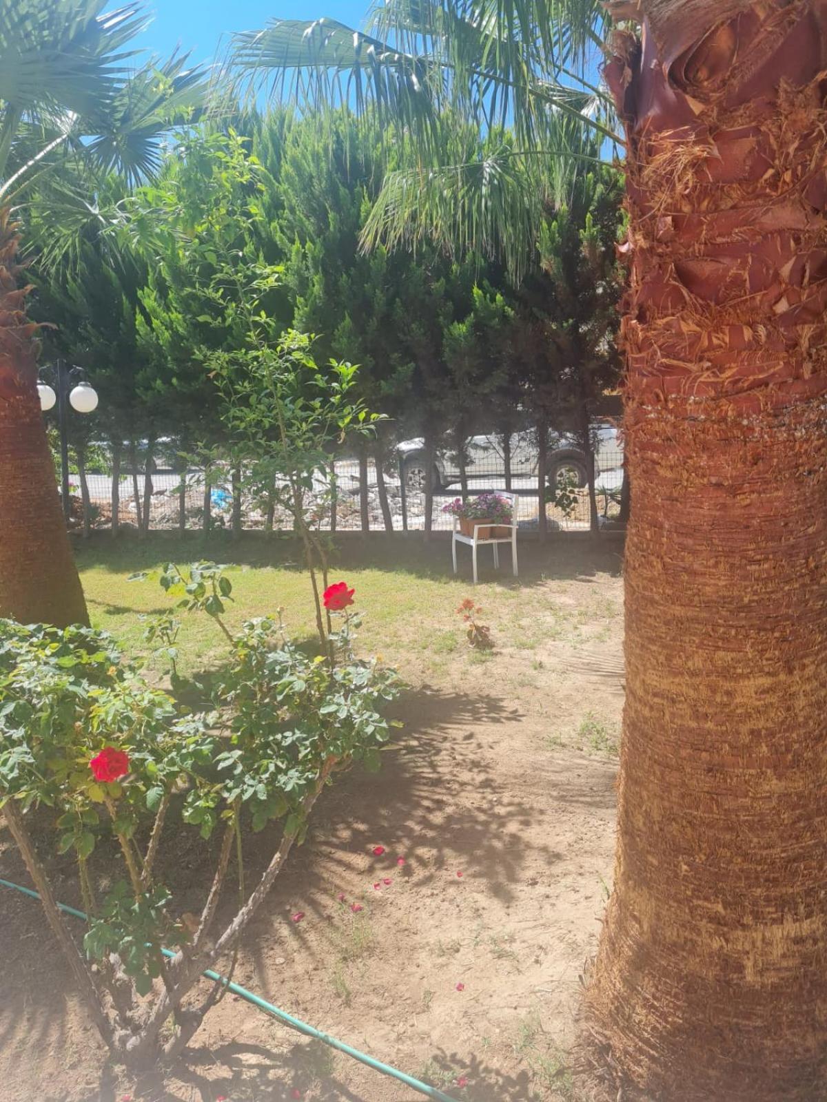 Delight Boutique Hotel Akbük Εξωτερικό φωτογραφία